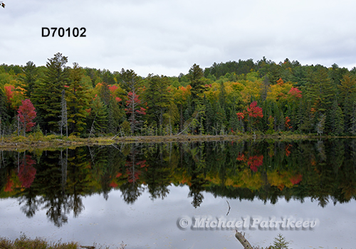 Algonquin Provincial Park, Ontario